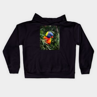 Rainbow lorikeet Kids Hoodie